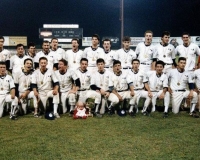 1986-WVision primav_jpg