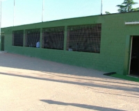 19-batting